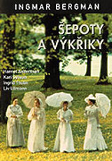 EPOTY A VKIKY  TV tip  meditativn obraz lidsk samoty